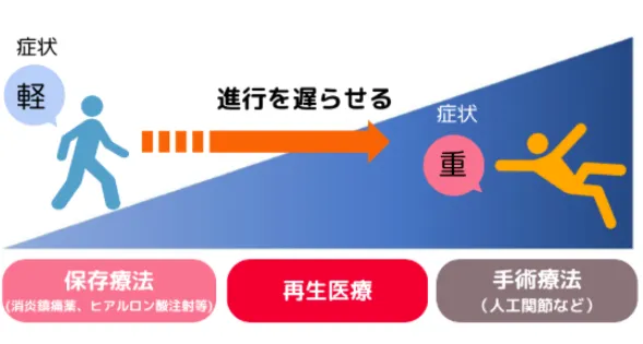 再生医療
