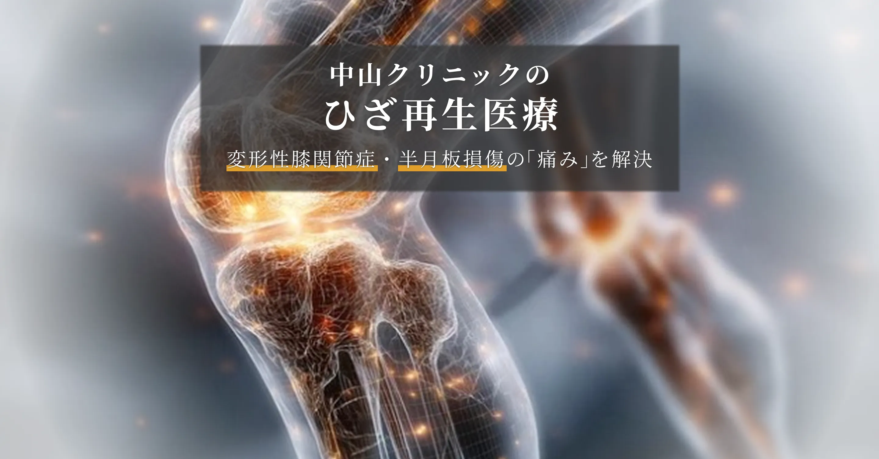 中山クリニックのひざ再生医療